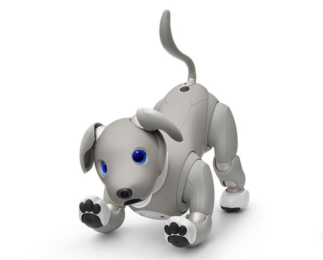 画像: 2021年限定カラーモデルの「aibo 黒ごま エディション」は2月1日に発売される。飼い主の言葉をしっかり聞き分けられるように音源分離機能が使われていたとは驚きだ