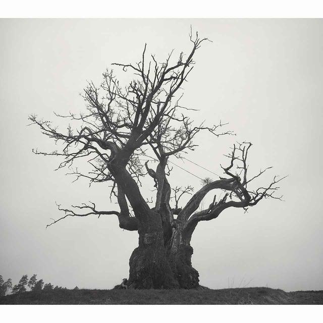 画像: SEKAI NO OWARI 2010-2019 / SEKAI NO OWARI