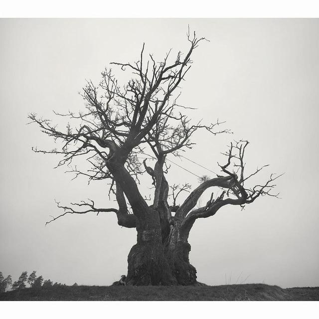 画像: SEKAI NO OWARI 2010-2019 / SEKAI NO OWARI