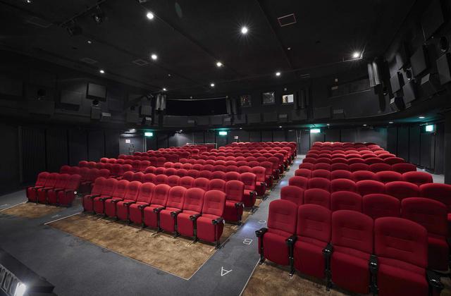 画像: 『僕たちの嘘と真実 Documentary of 欅坂46』 配給:東宝映像事業部 企画:秋元康 監督:高橋栄樹 出演:欅坂46