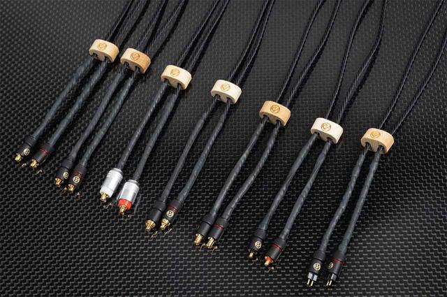 ゼンハイザーIE 900+ブリスオーディオASUHA-LEケーブル ゼンハイザーIE