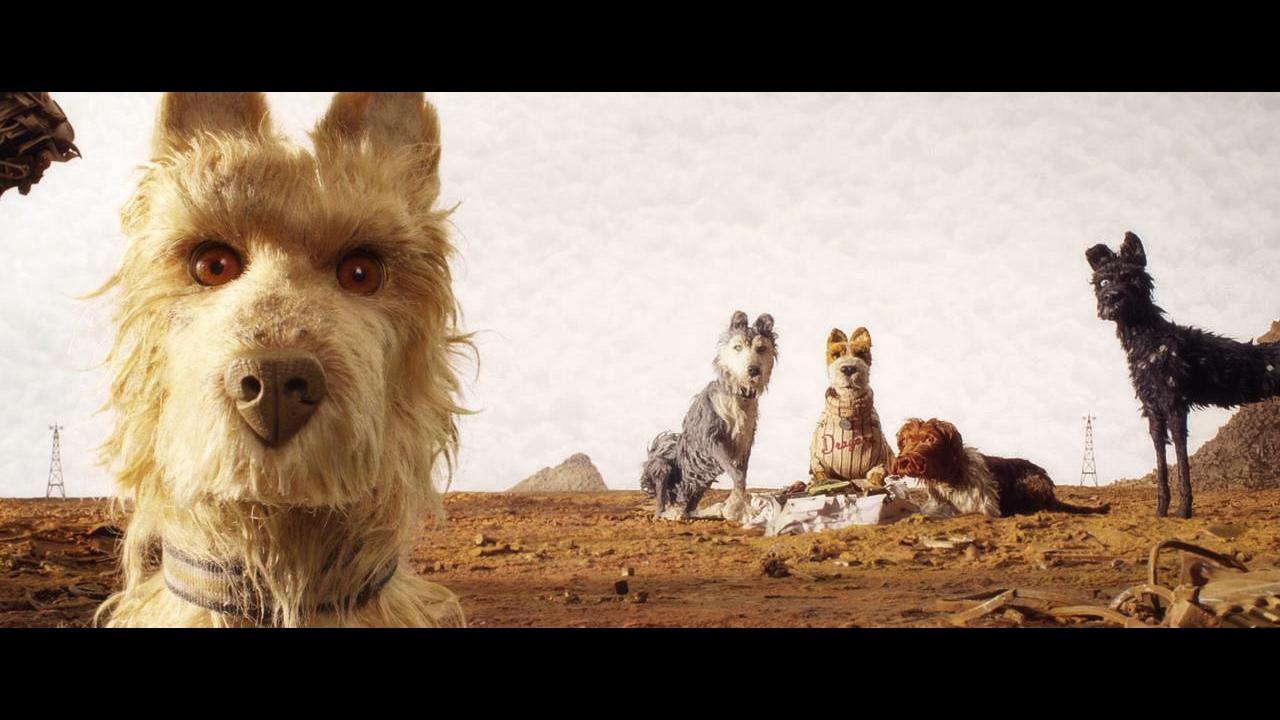 画像: この映画は他の多くの映画よりもカット割りが少ない。1分を超えるショットもいくつかある。 CGを使えば容易になるとわかっていたが、ウェスは可能な限りCGを避け、グリーンスクリーン・プロセスに固持した。同じフレーム内で犬のアップとロングを入れ込むときなど、ショットを複数の平面に分割し、各平面を別々に撮影している。たとえば、近くにいる犬とその後ろにいる他の犬を撮影する場合、クローズアップをグリーンスクリーンで撮影し、次に中景に焦点を合わせ直して残りのショットを撮影し、シャープな前景とシャープな中景を合成する。犬は毛深く、グリーンスクリーンからの照明効果を取得するのが非常に困難だったため、すべてのクローズアップでグリーンスクリーンありのフレームと、グリーンスクリーンなしのフレームを撮影する必要があった。視覚効果チームはグリーンスクリーンなしのフレームから毛のディテイルを抽出し、グリーンスクリーンのフレームを一致させて、イメージにソフトなエッジを反映させている。 私たちは現場で膨大な量のデータを生成していましたが、ウェスはそれらをすべて管理していた。撮影監督トリスタン・オリヴァー