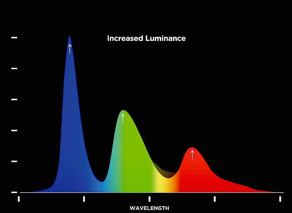 画像5: 衝撃の輝度と色。これは 第四の画質革命だ!【LG Display直撃リポート】Primary RGB Tandem technology採用。第四世代有機ELパネルの開発秘話