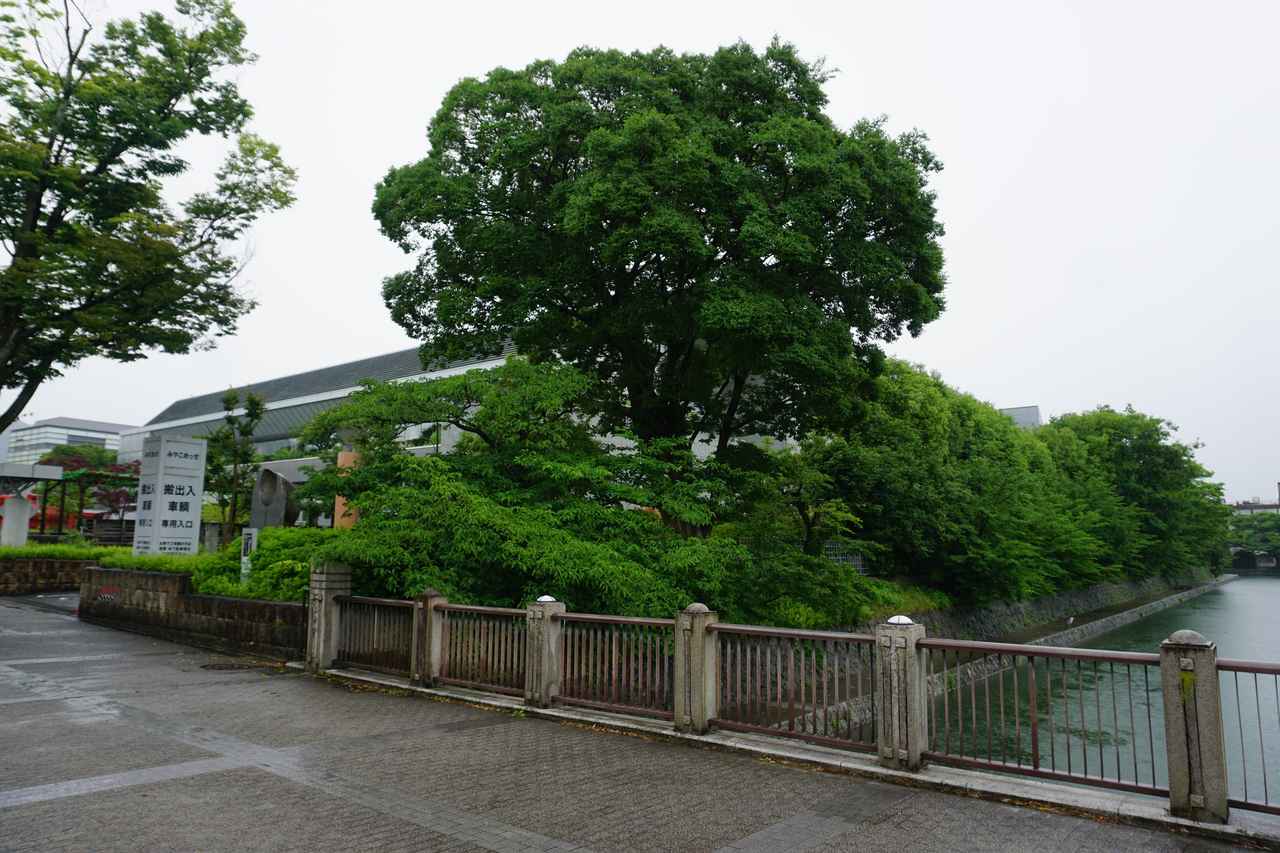 画像: 会場は昨年と同じ「みやこめっせ」。近隣には平安神宮、京都国立近代美術館などの観光地がならぶ