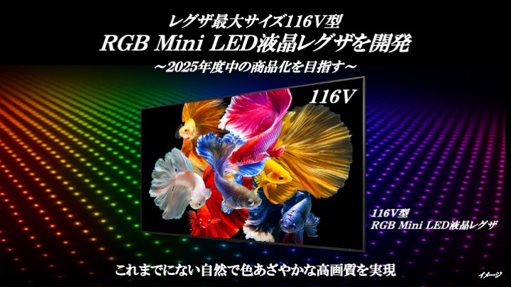 画像1: 116インチRGB Mini LEDバックライト搭載液晶レグザを参考出品。液晶テレビの画質をワンステップ向上させるための、新たな切り札となるか