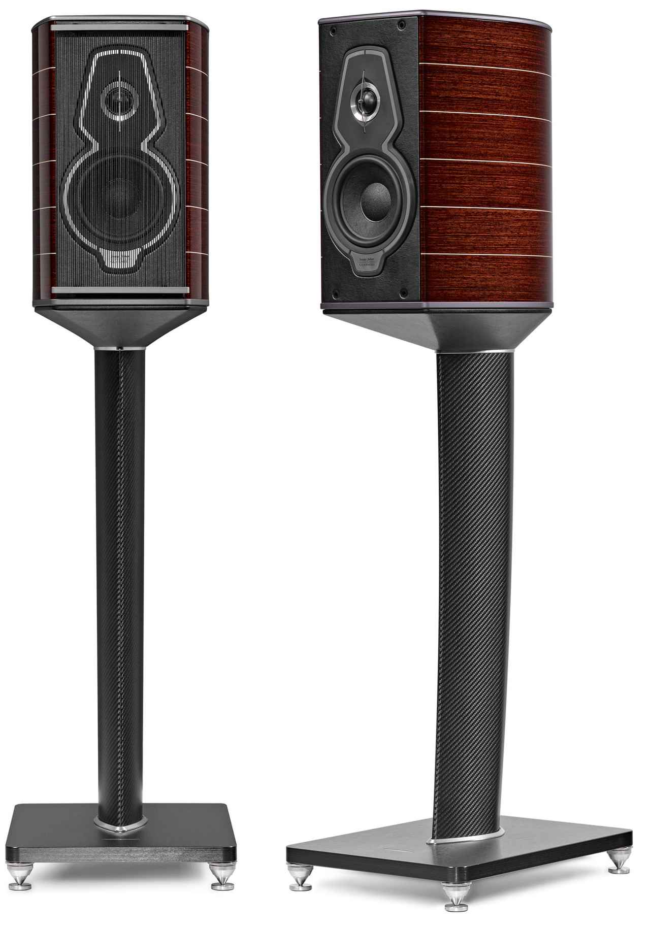 画像1: 第1位:ソナス・ファベール Guarneri G5