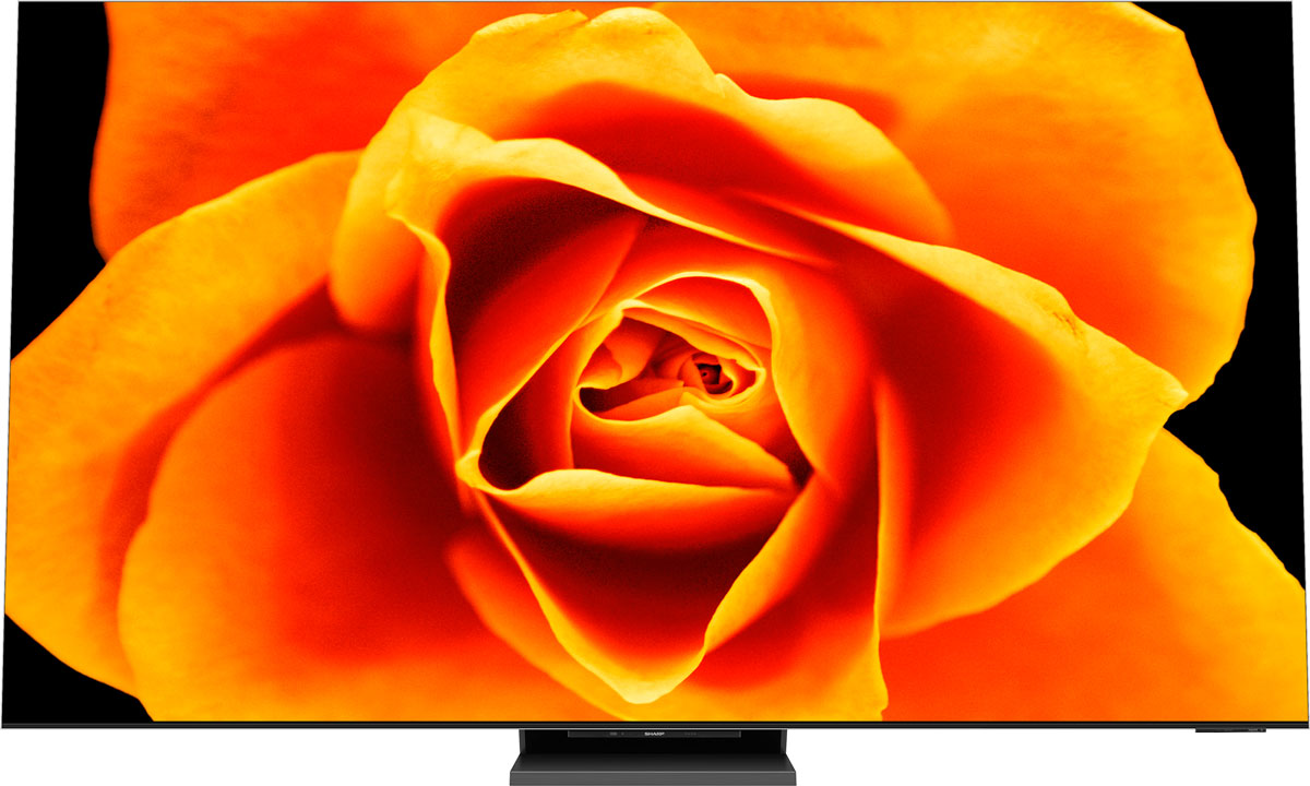 画像1: 第2位：シャープ 8T-C85DX1