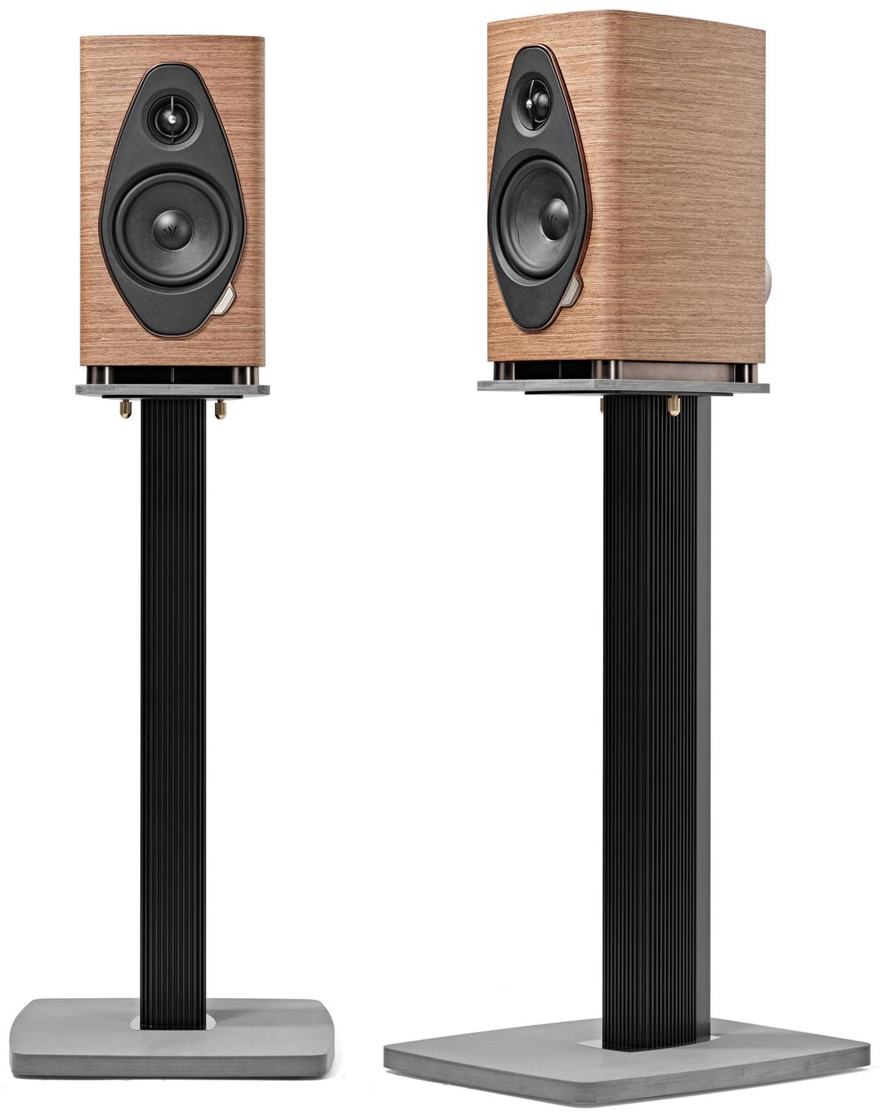 画像1: 第3位：ソナス・ファベール Sonetto Ⅰ G2