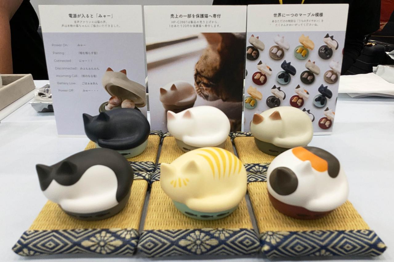 画像: ▲丸まって寝ている姿が、なんともかわいらしい