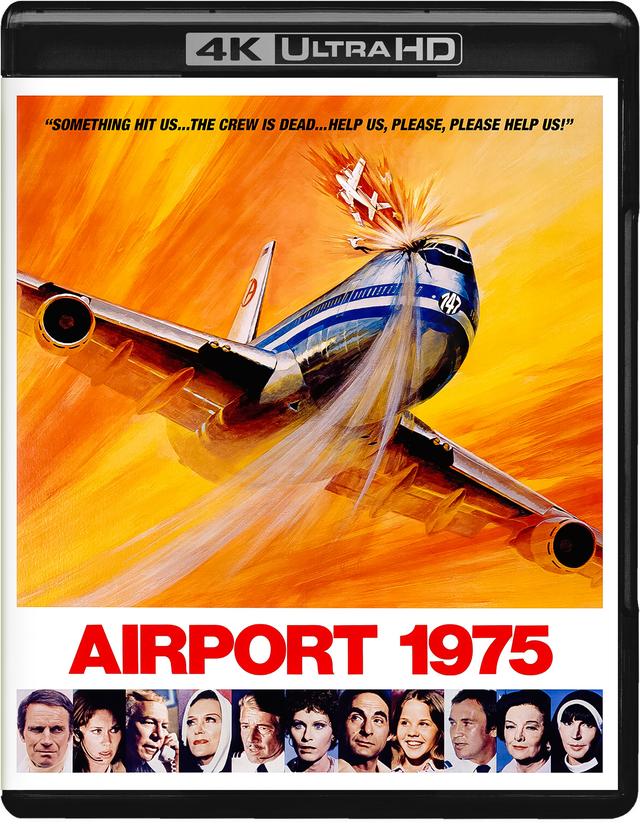 映画「大空港」USオリジナルインサートサイズポスター イントゥザ