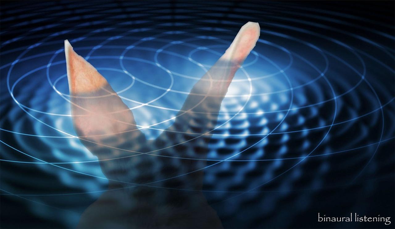 画像: ヘッドホン固有のイマーシブ再生技術「バイノーラル」はどのように進化してきたのだろう？ その歴史を紐解いてみる【ヘッドホンについて知っておきたい◯◯なこと 14】 - Stereo Sound ONLINE
