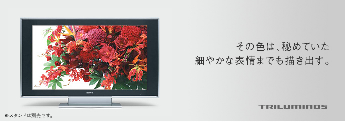 画像: QUALIA