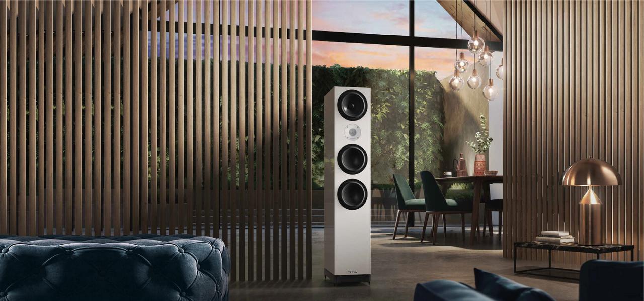 画像: トライオード