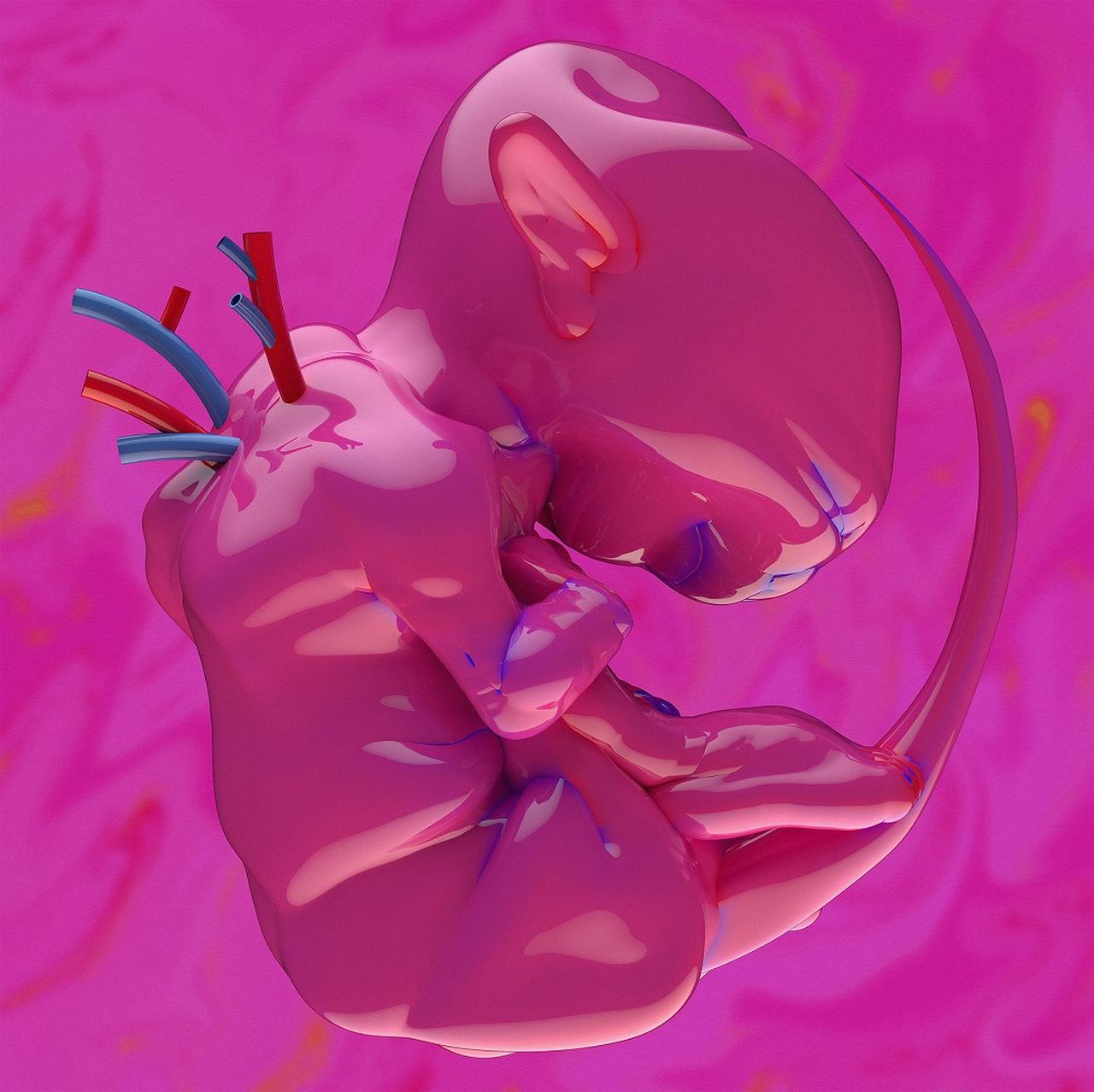 画像: ekkolaptómenos / 春ねむり