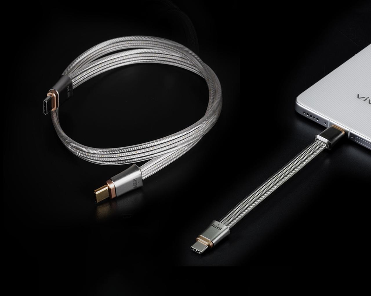ddHiFi TC19CC （Comet） OTG ケーブル 新品未開封 リアルアシストから、dd HiFiのUSB-C To USB-C OTGケーブルの