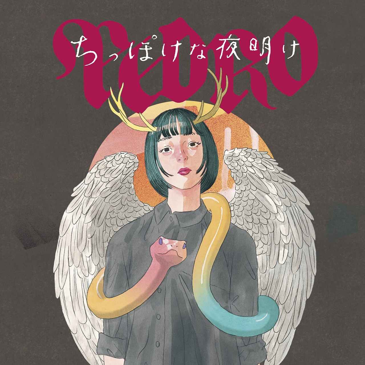 画像: ちっぽけな夜明け / PEDRO