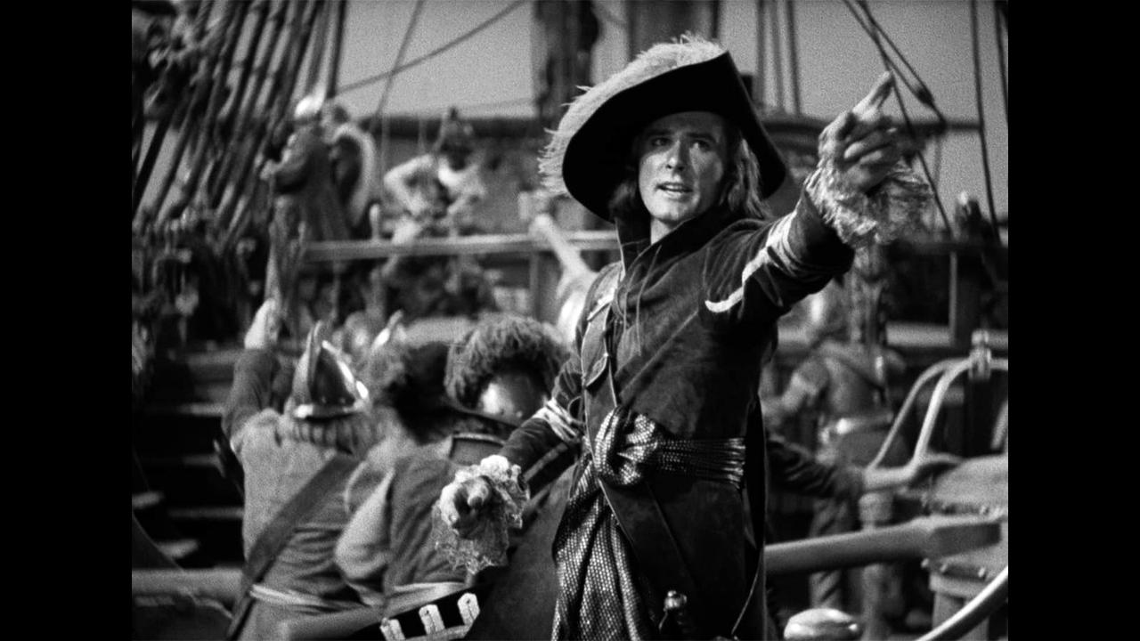 画像2: 剣に宿るは、正義か、復讐か。壮大な海の冒険ロマン。