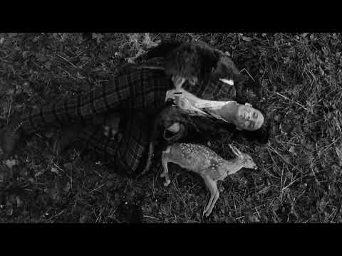 画像1: ※ When viewing this clip, please set resolution to 1080p／HD