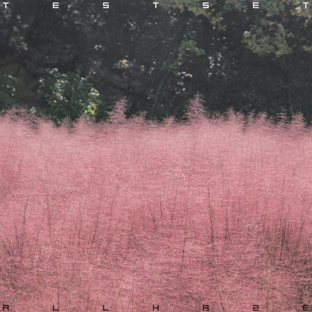 画像: ALL HAZE / TESTSET on OTOTOY Music Store