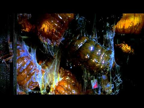 画像: When viewing this trailer, please set resolution to 1080p / HD