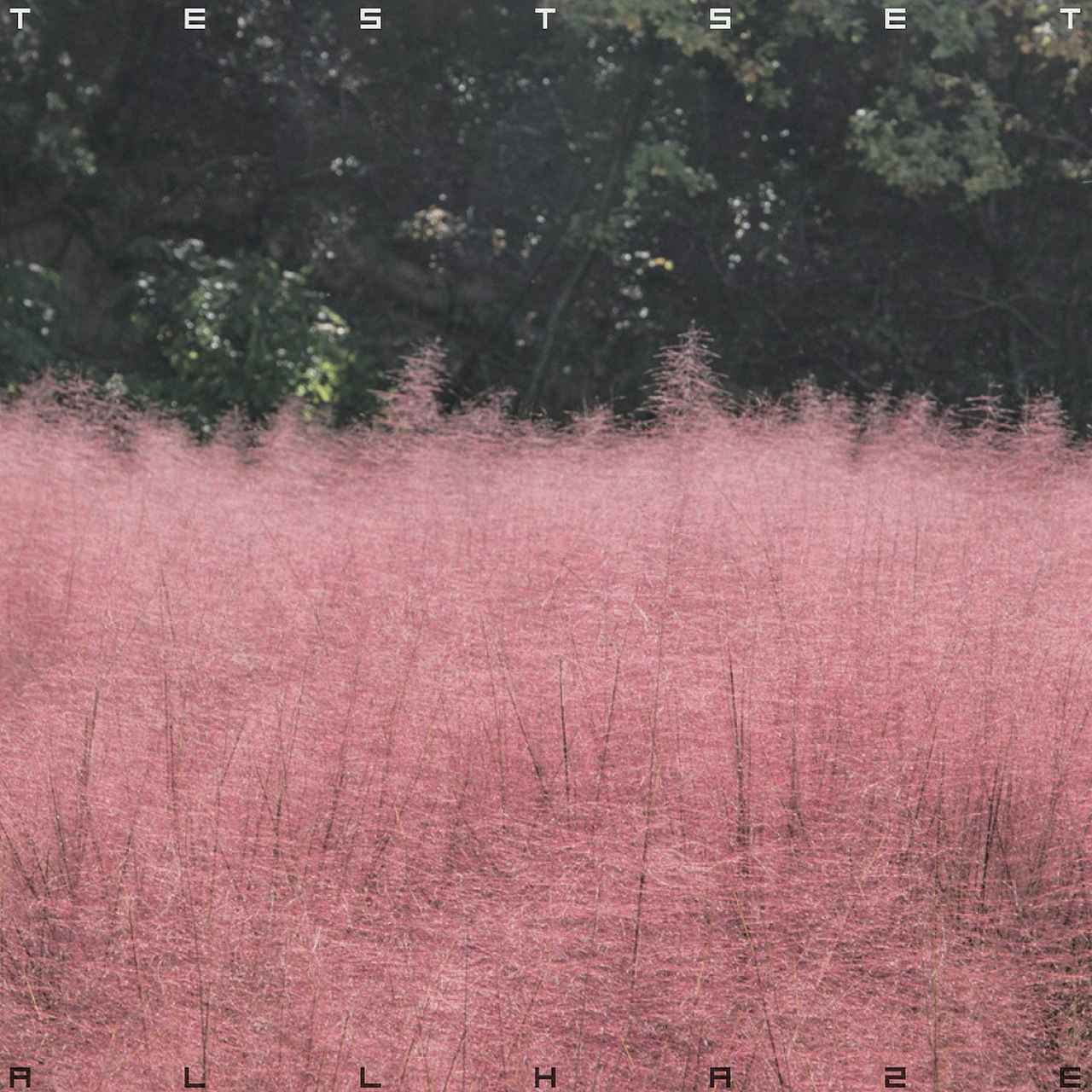 画像: ALL HAZE / TESTSET