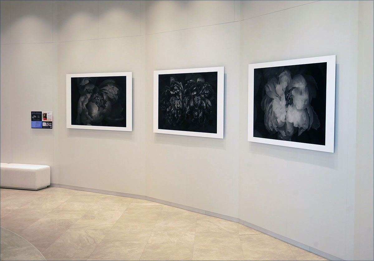 画像: エントランス付近にはぎゃらりスペースもあり。取材時は女優の鶴田真由さんの写真が展示されていた