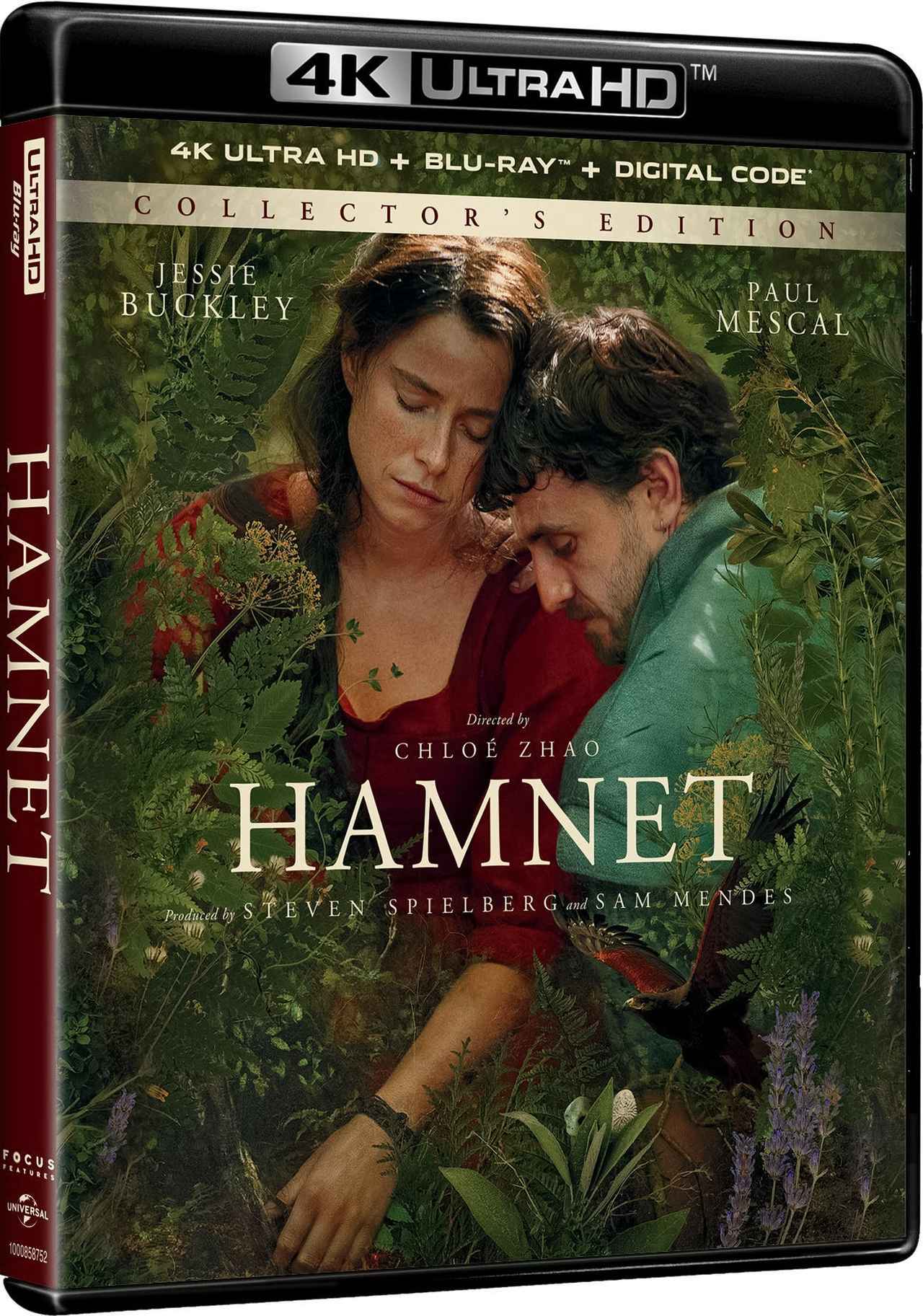 画像2: ハムネット【世界映画Hakken伝 from HiVi】