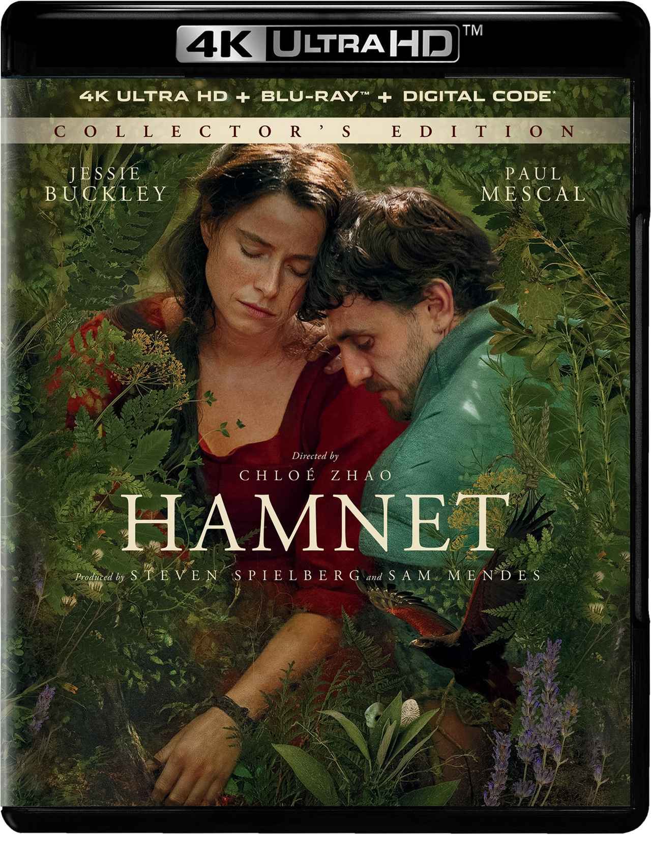 画像3: ハムネット【世界映画Hakken伝 from HiVi】