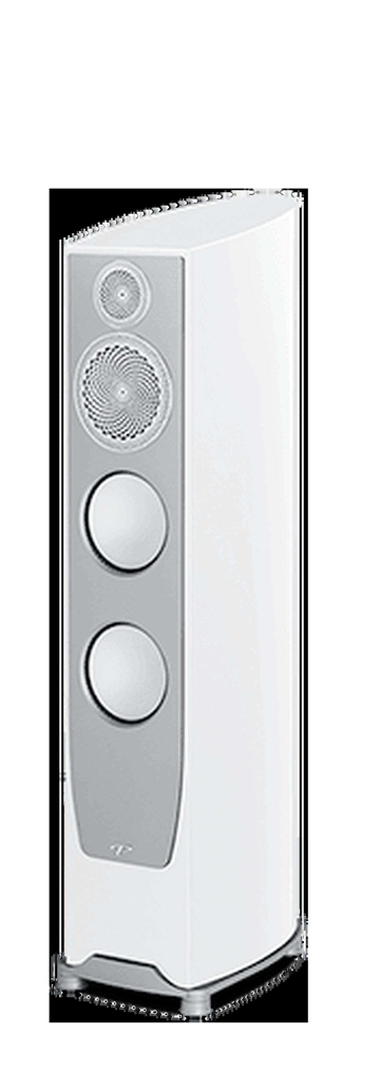 画像: パラダイムデザインスタジオ | ペルソナ