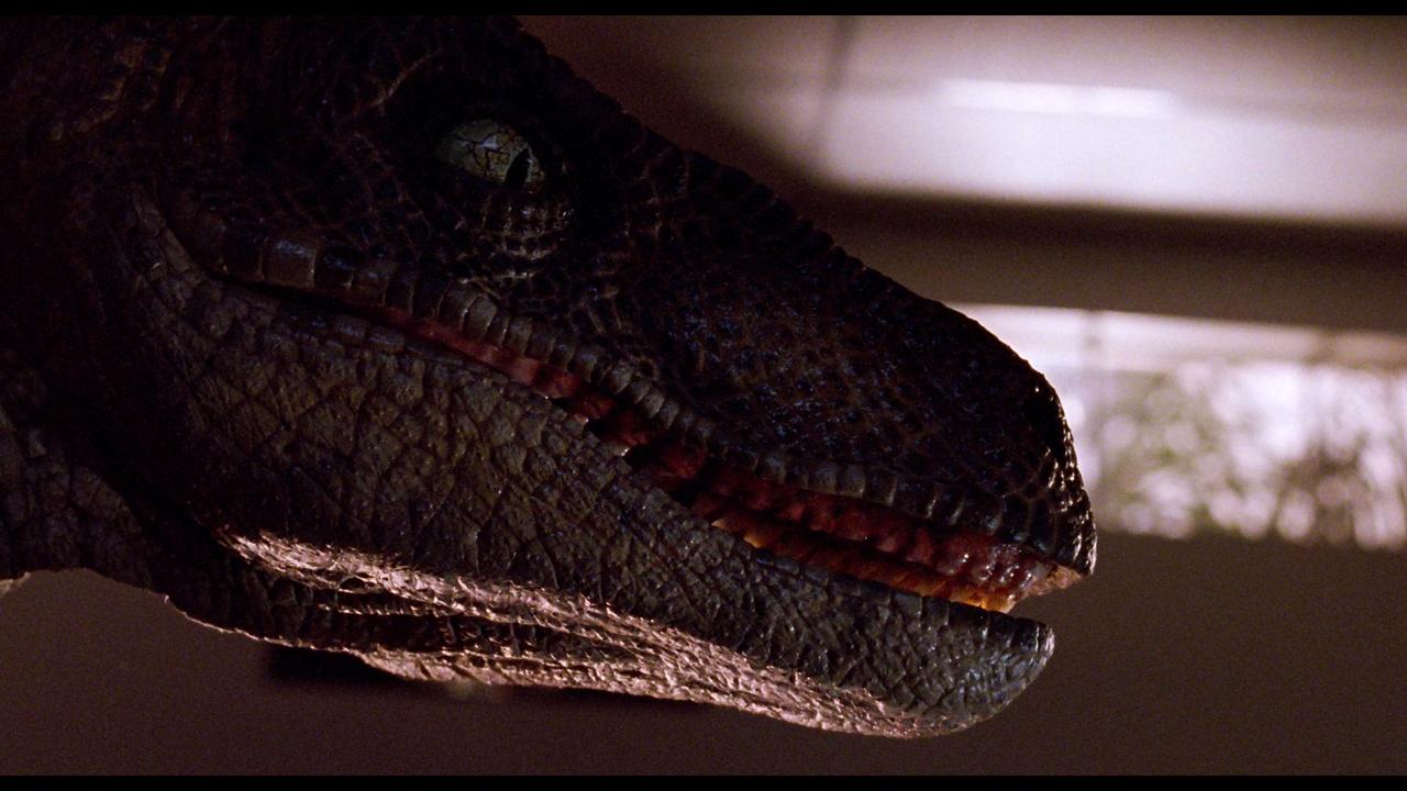 画像7: ーー2018 UNIVERSAL 4K UHD BLU-RAYーー