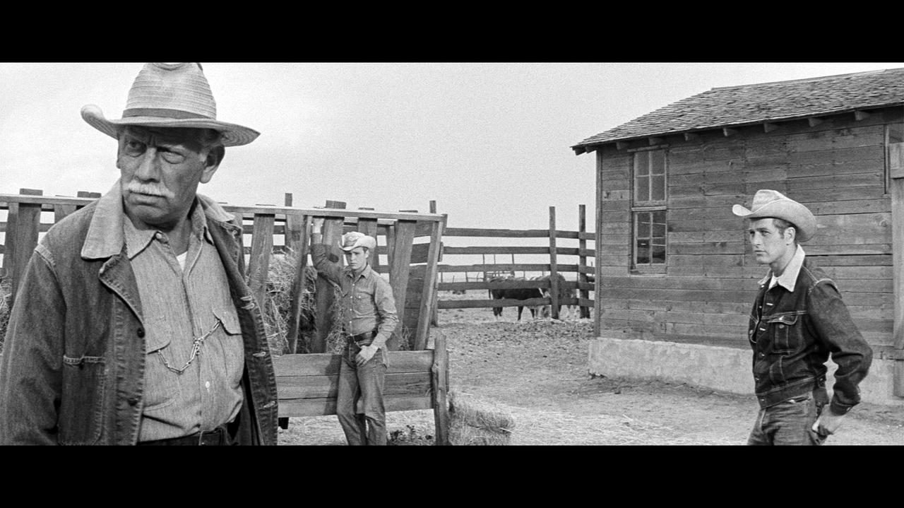 画像4: 生きて人生を抜け出せる奴はいない