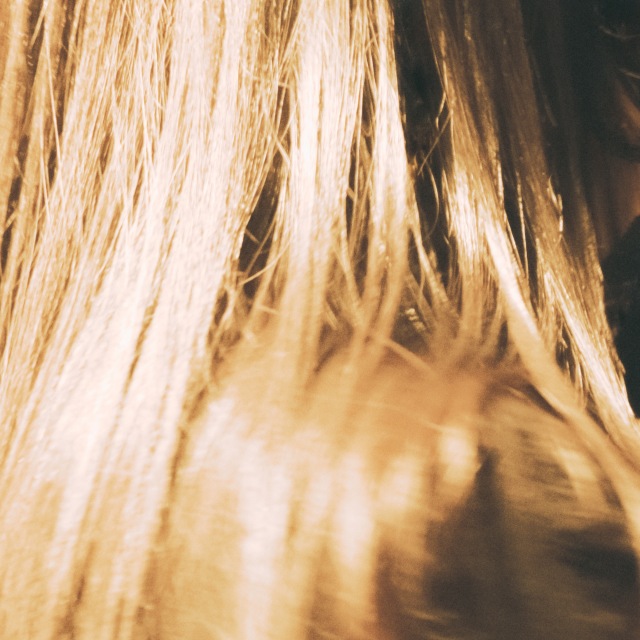 画像: 日本武道館 LIVE 2026 kanekoayano / kanekoayano on OTOTOY Music Store