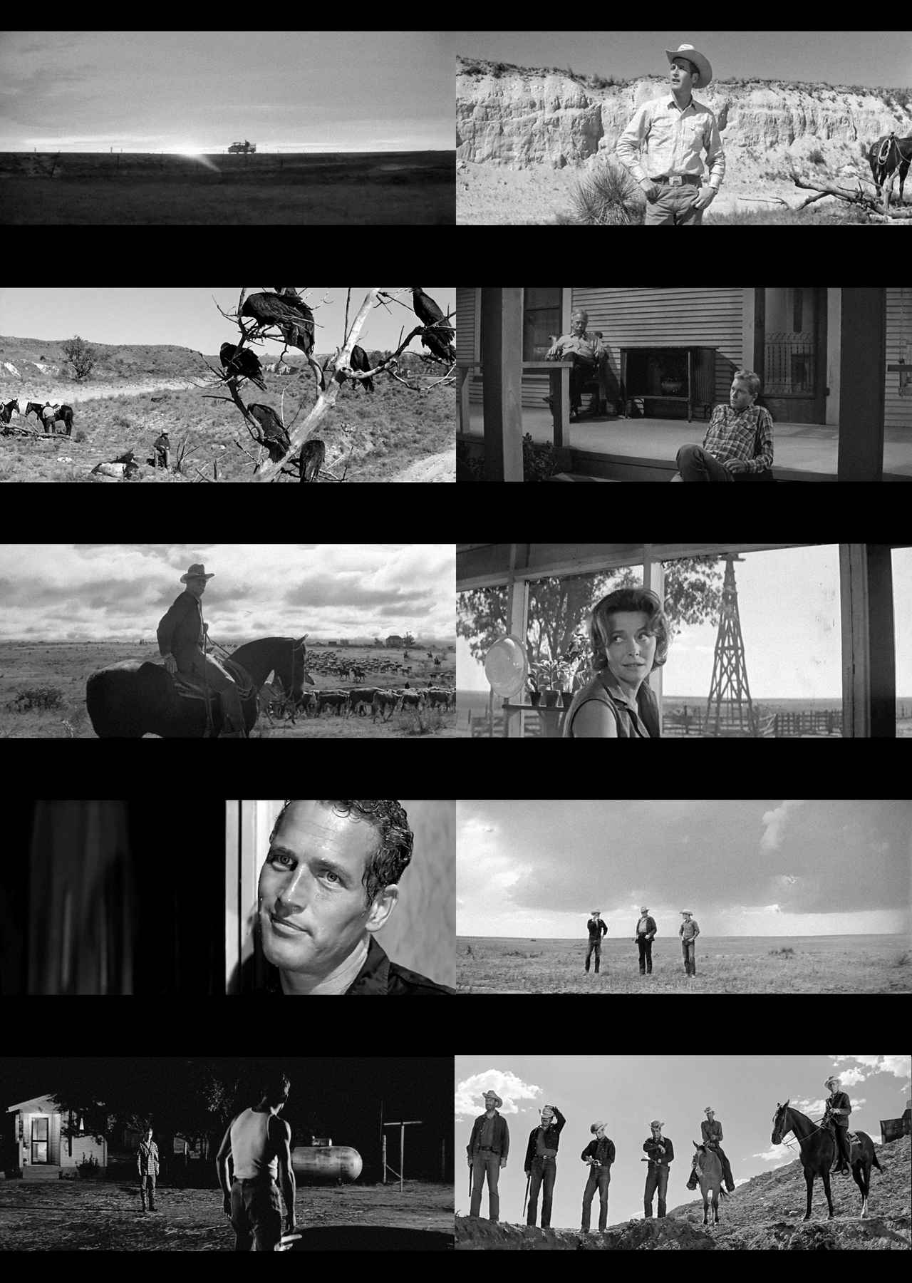 画像3: 生きて人生を抜け出せる奴はいない