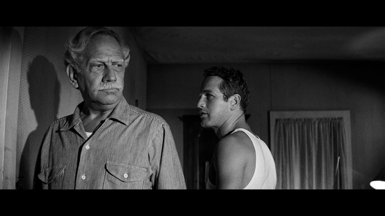 画像1: 生きて人生を抜け出せる奴はいない