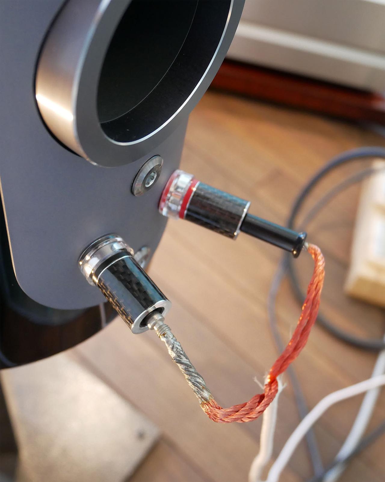 画像: 「Binom-1」の端子部