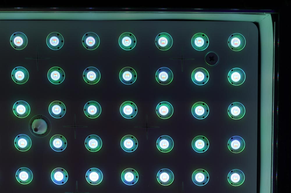 画像: RGB MiniLEDバックライトの拡大写真。一つの発光素子の中にRGBの素子が組み込まれているのが見える