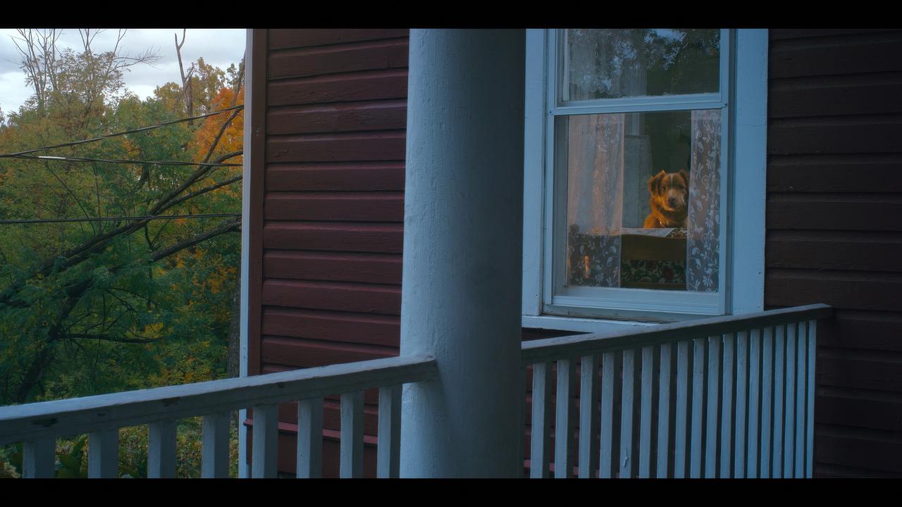 画像2: ーー4K UHD SCREEN SHOTーー