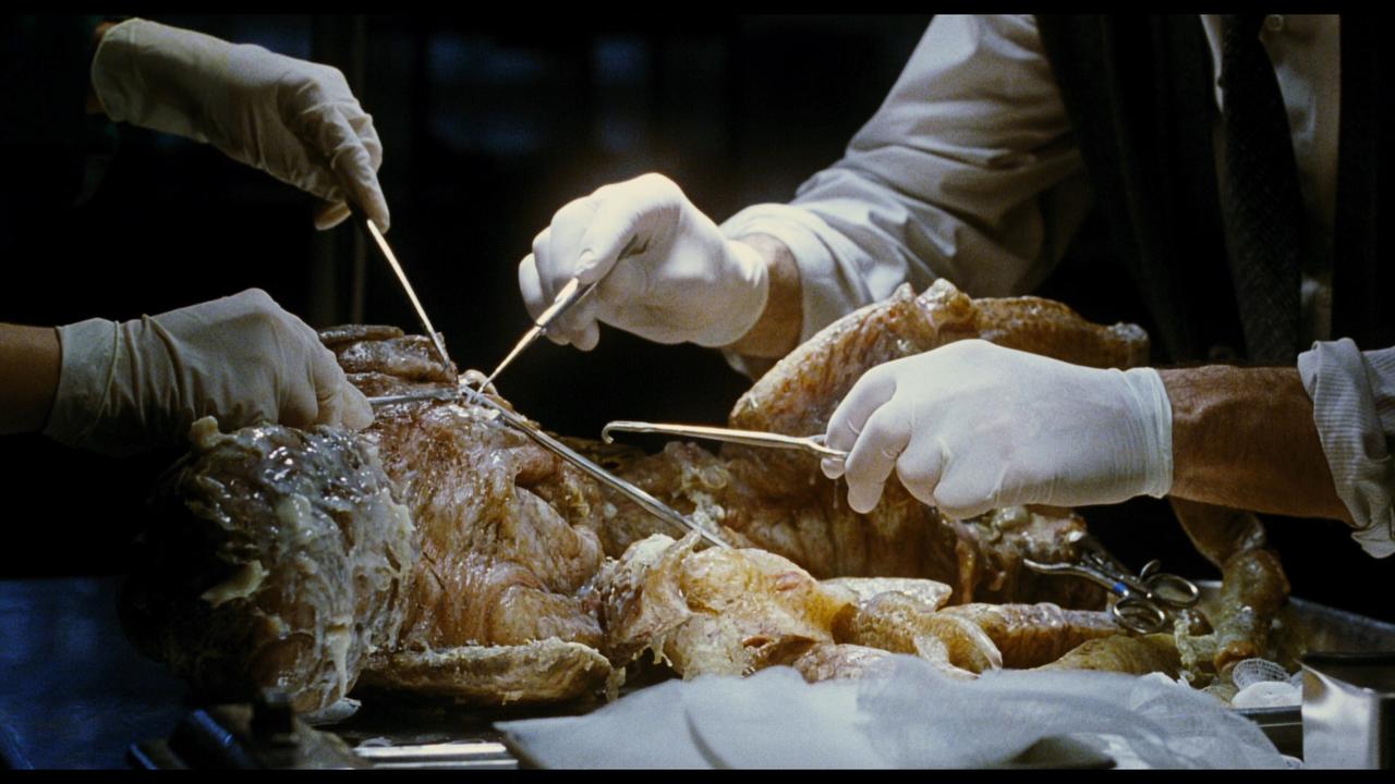 画像2: 遺伝子操作されたハイブリッド昆虫の恐怖を描くモンスター・スリラー