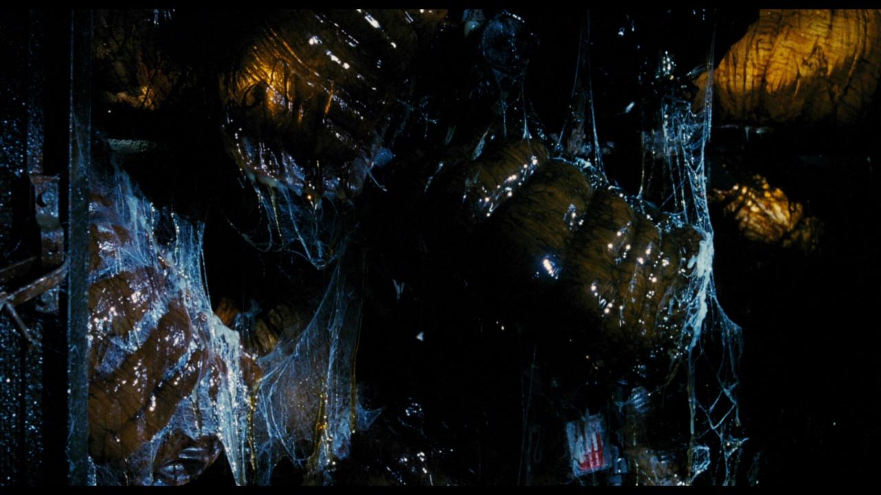画像6: 遺伝子操作されたハイブリッド昆虫の恐怖を描くモンスター・スリラー