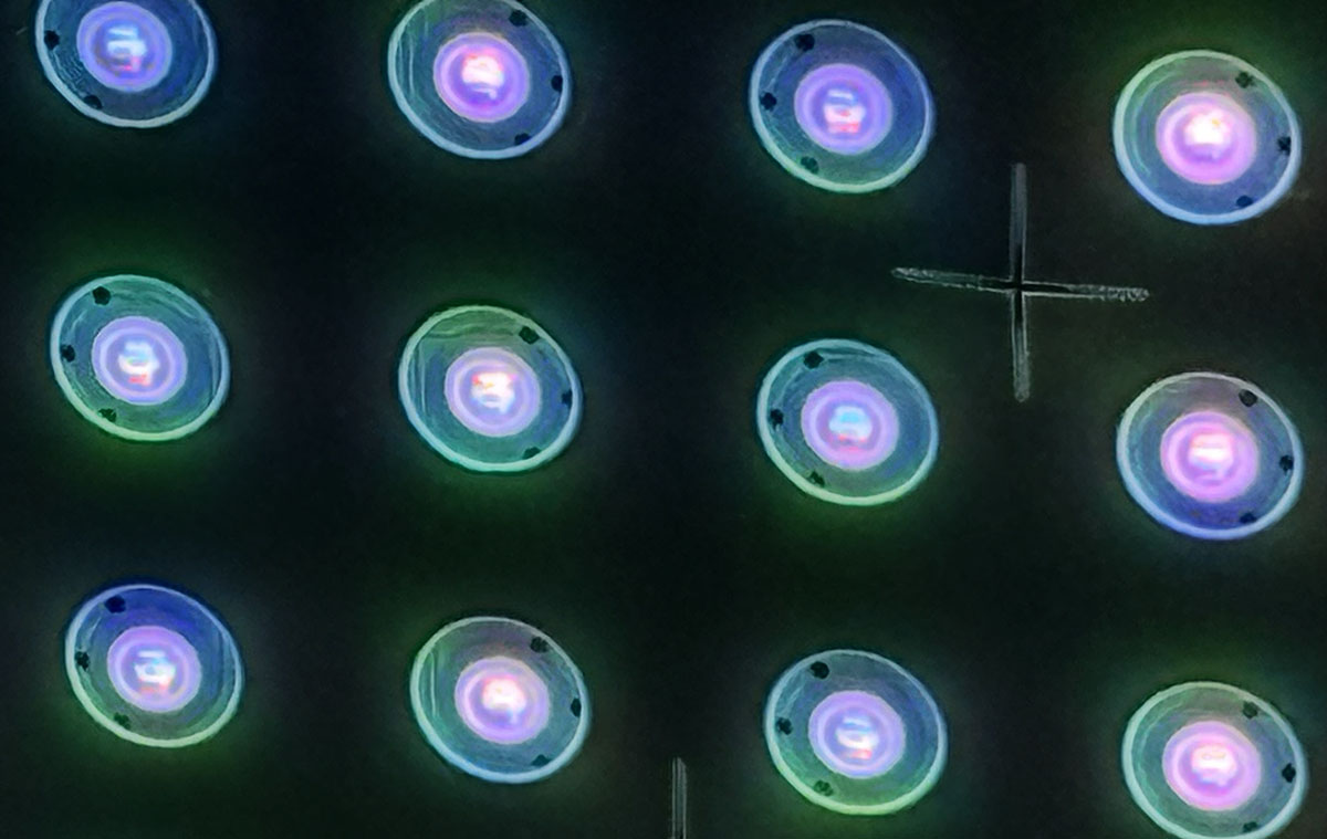 画像: RGB MiniLEDバックライトを近接撮影してみた。ひとつのLEDの中にRGBの3色のセルが並んでいる