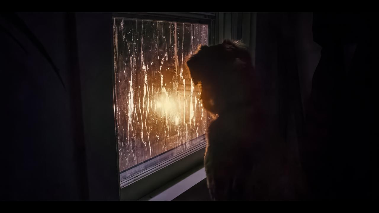 画像3: ーー4K UHD SCREEN SHOTーー