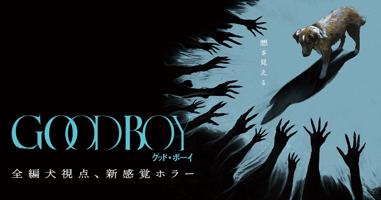 画像: 映画『GOOD BOY/グッド・ボーイ』公式サイト
