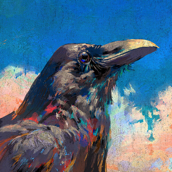 画像: 烏 - Raven, 米津玄師 - Qobuz