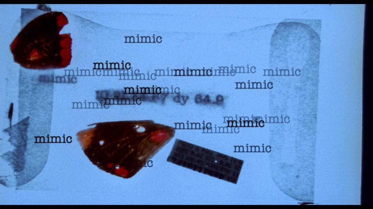 画像: 4K UHD BLU-RAY SHORT REVIEW - MIMIC ー 短評
