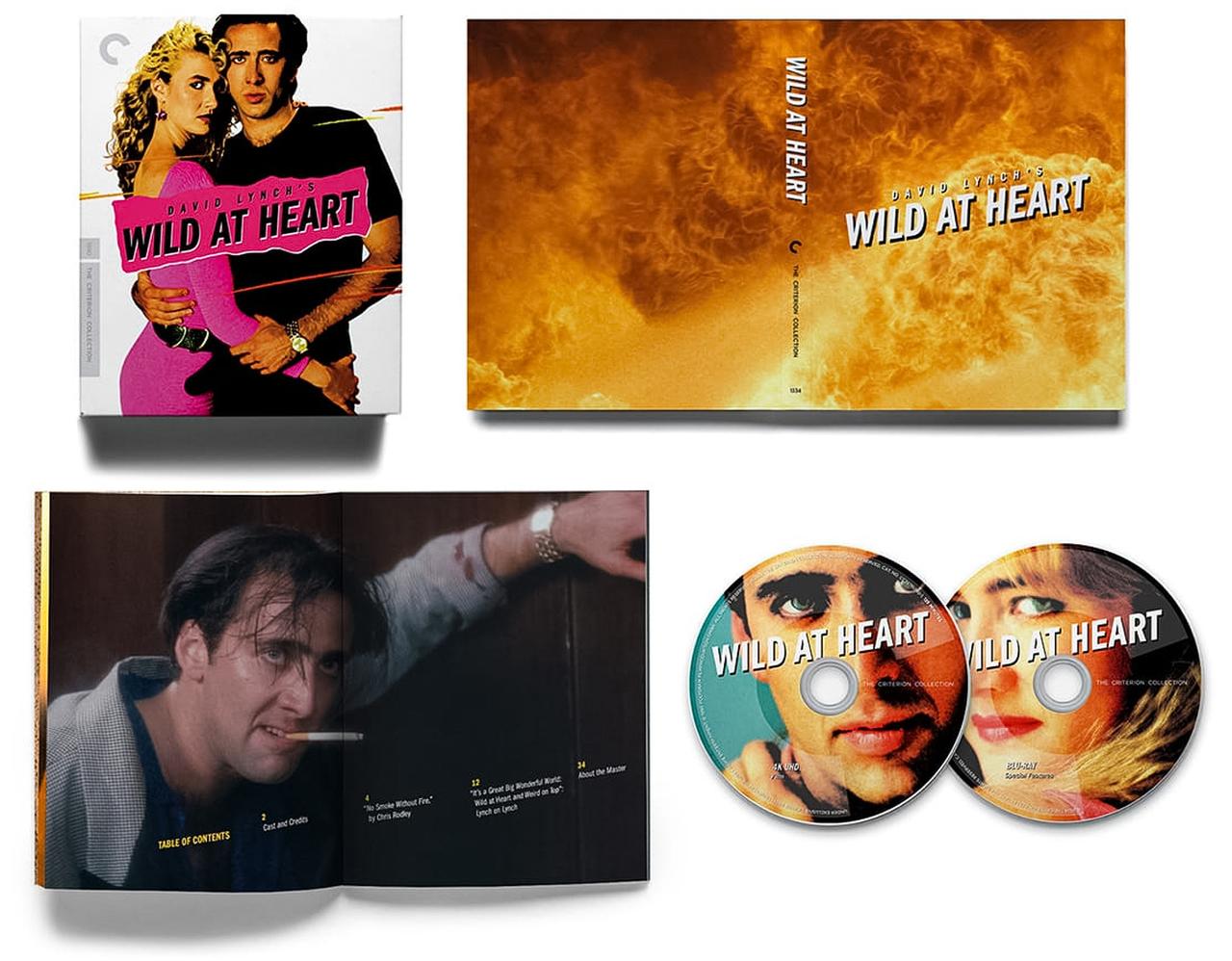 画像1: 4K UHD BLU-RAY/BLU-RAY COMBO RELEASE 4K UHD + BLU-RAY SPECIAL EDITION
