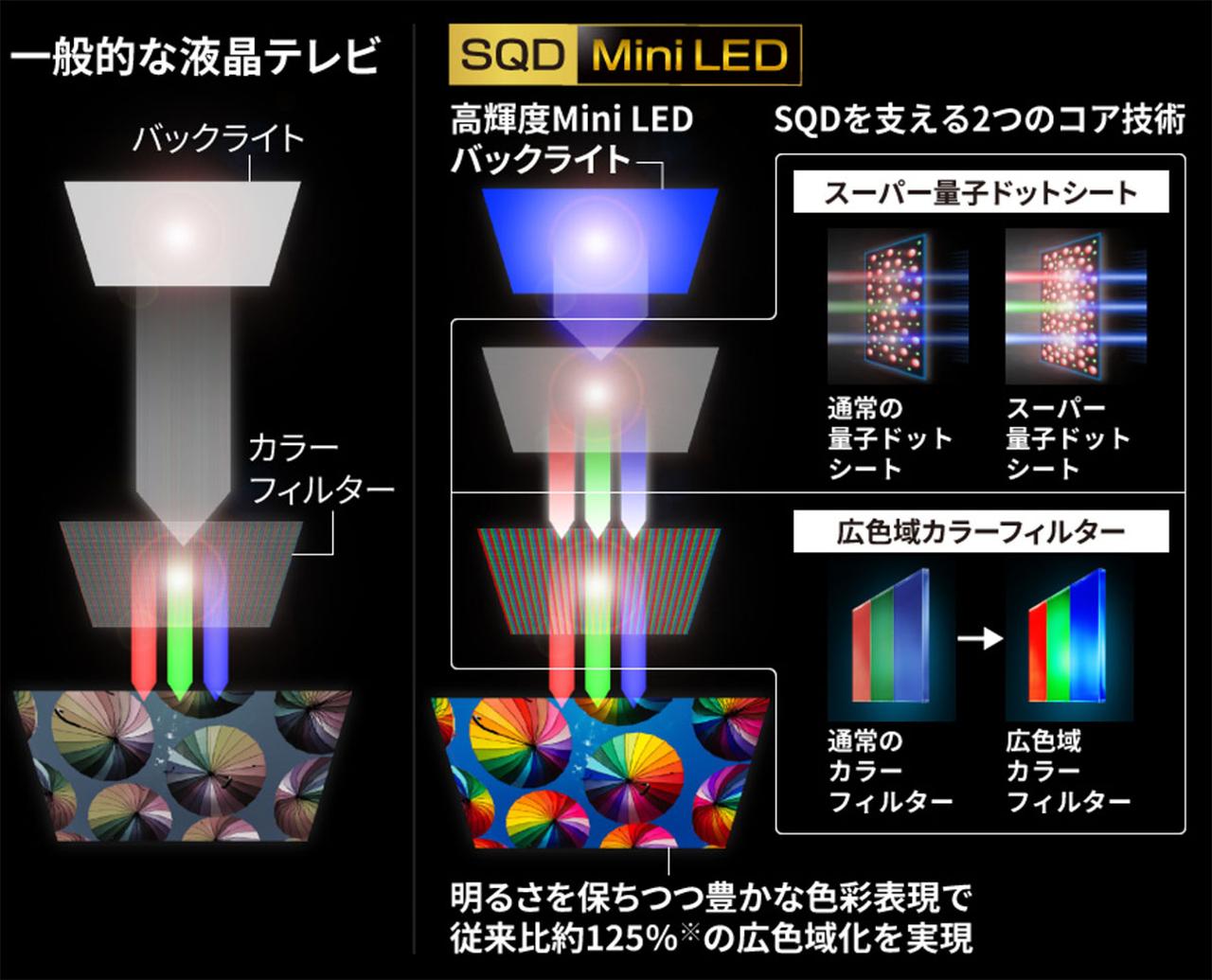 画像1: パナソニック、SQDフィルターを搭載した4K液晶ビエラ「X97Cシリーズ」を11月に発売。新開発「Real Color Panel」が、映像制作者の意図した色彩を忠実に再現する