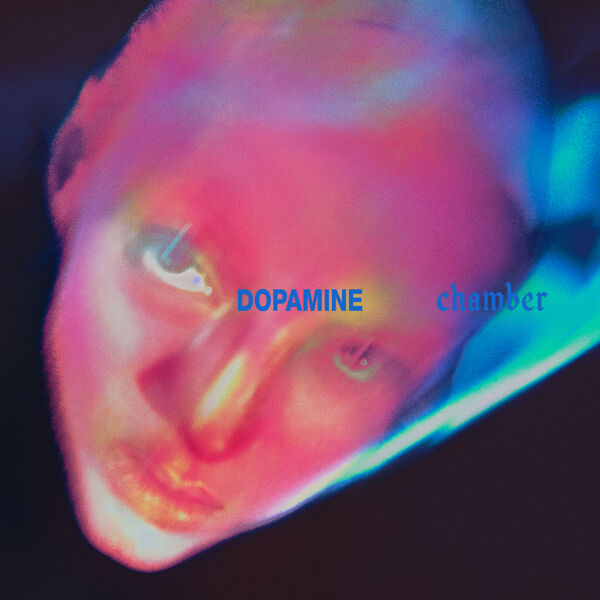 画像: Dopamine Chamber, FONTAINES D.C. - Qobuz