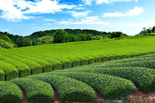 画像3: istock