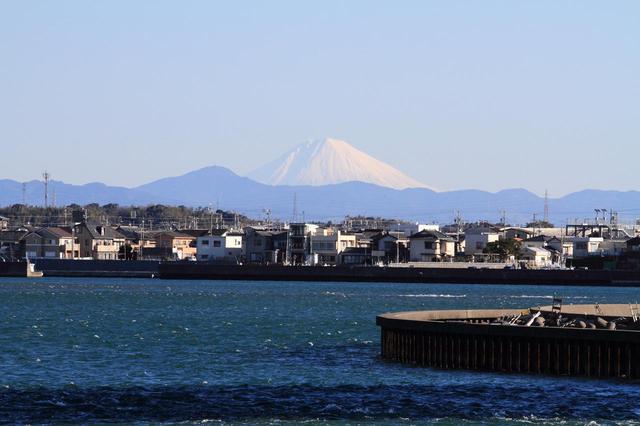 画像1: istock