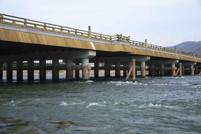 画像: 宇治川のほとりを散歩
